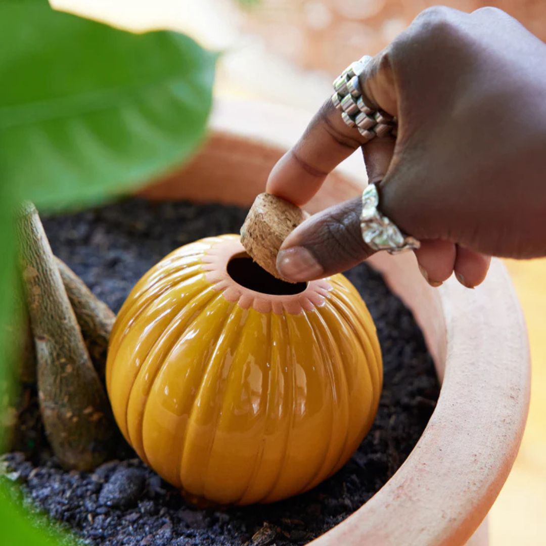 Terra Cotta Watering Bulb – Modern Sprout – Mustard
